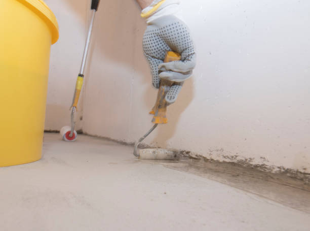 Professional Pest control in St Jaco, IL